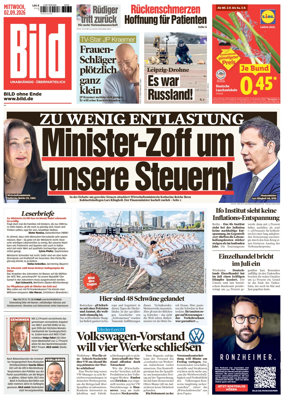 Cover of Bild