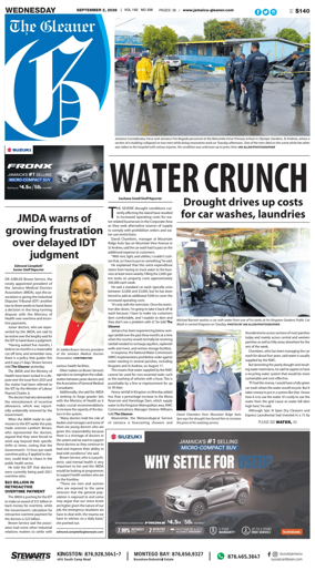 Cover of The Gleaner