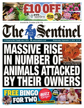 Cover of The Sentinel