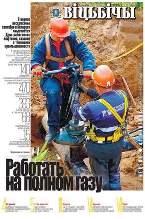 Cover of Vitbichi