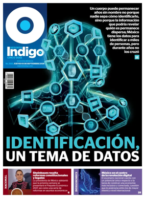 Cover of Reporte Indigo Nacional