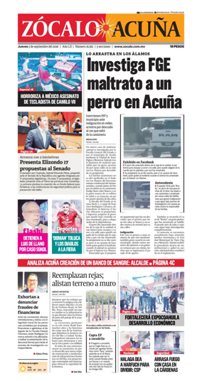 Cover of Zocalo Acuna