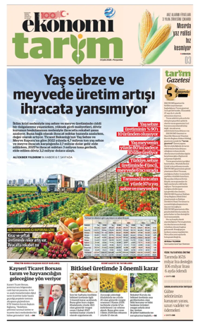 Cover of NBE - Sektor Ekleri