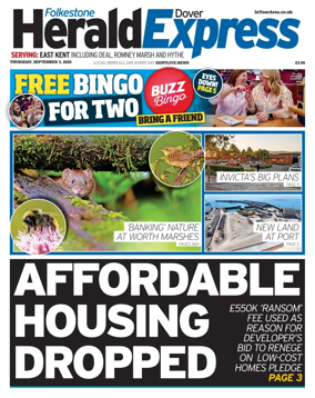 Cover of Dover Express