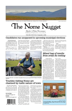 Cover of The Nome Nugget