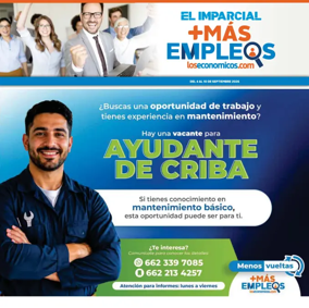 Cover of Mas Empleos