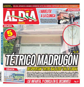 Cover of Periodico Al Dia (Celaya)