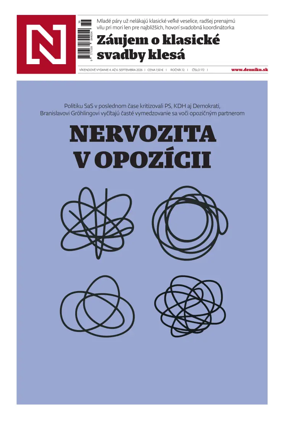 Cover of Dennik N
