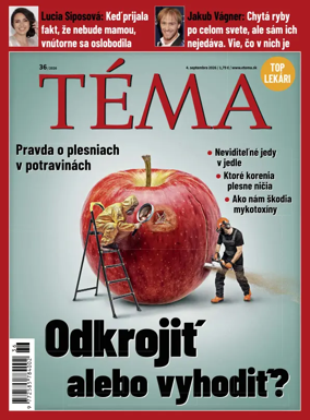 Cover of Tema