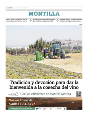 Cover of Suplemento1