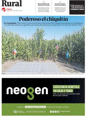 Cover of Rural