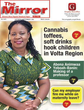 Cover of The Mirror