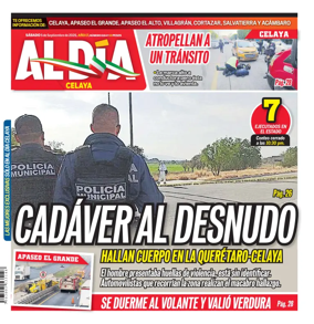Cover of Periodico Al Dia (Celaya)