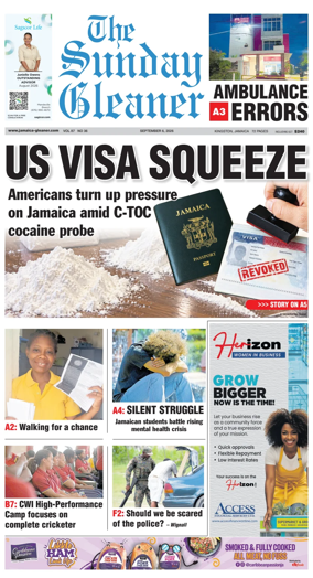 Cover of The Gleaner