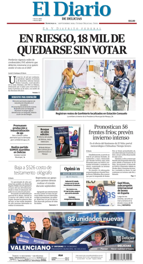 Cover of El Diario de Delicias