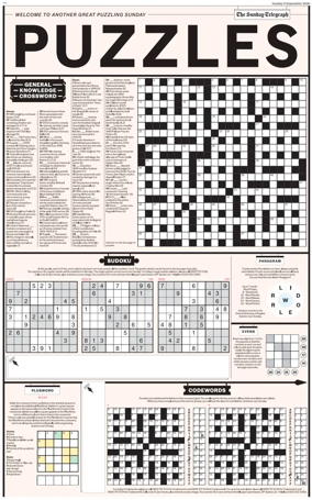 Cover of Puzzles