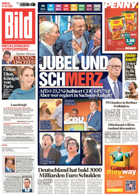 Cover of BILD Mecklenburg