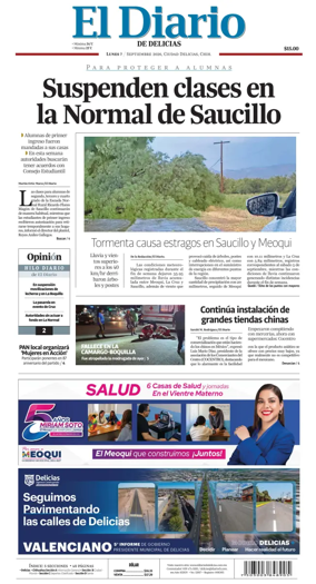Cover of El Diario de Delicias