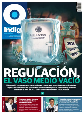 Cover of Reporte Indigo Nacional
