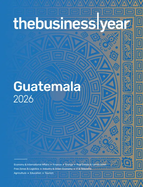Cover of The Business Year