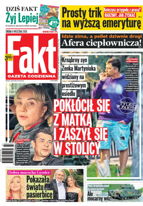 Cover of Fakt