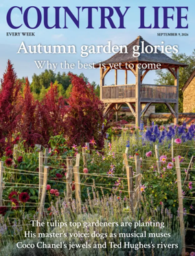 Cover of Country Life