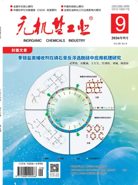 Cover of Inorganic Chemicals Industry