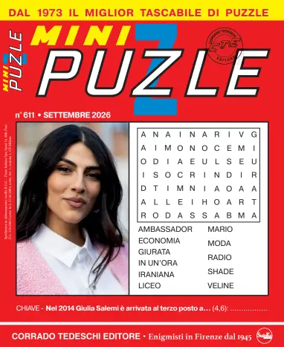 Cover of Mini Puzzle