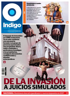 Cover of Reporte Indigo Nacional