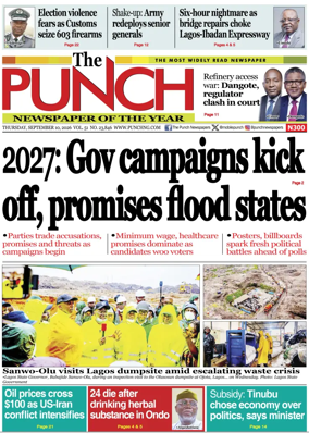Cover of The Punch
