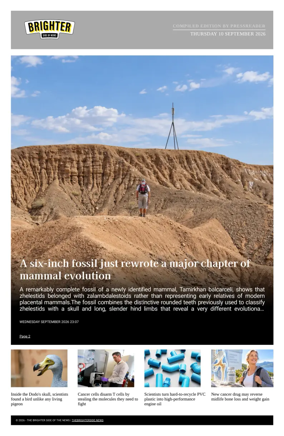Cover of The Brighter Side of News