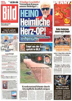 Cover of Bild