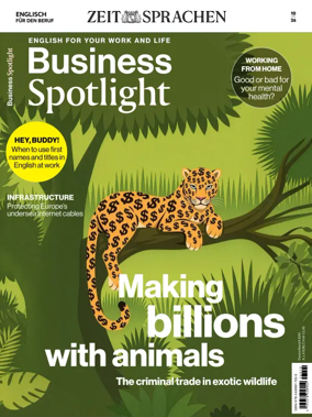 Cover of Business Spotlight