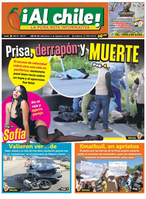 Cover of Al chile