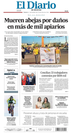 Cover of El Diario de Delicias