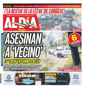 Cover of Periodico Al Dia (Celaya)