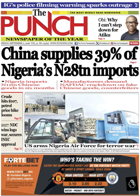 Cover of The Punch