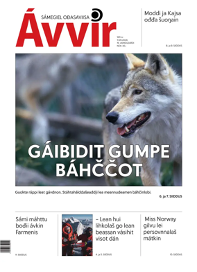Cover of Avvir