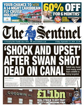 Cover of The Sentinel