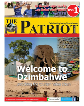 Cover of The Patriot