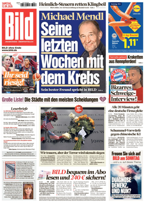 Cover of Bild