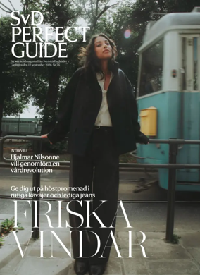 Cover of SvD Perfect Guide