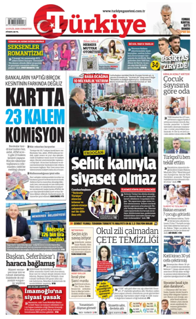 Cover of Turkiye