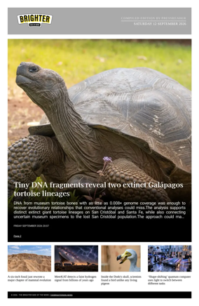 Cover of The Brighter Side of News