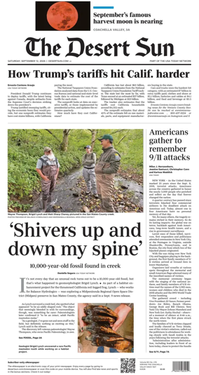 Cover of The Desert Sun
