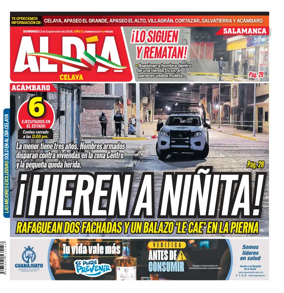Cover of Periodico Al Dia (Celaya)