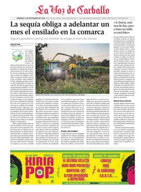 Cover of Carballo local