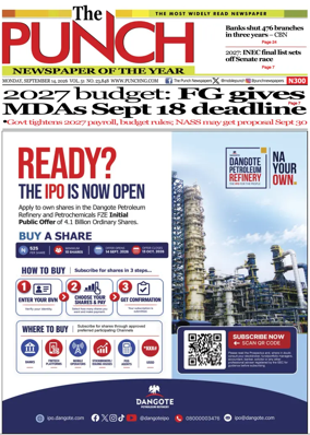 Cover of The Punch