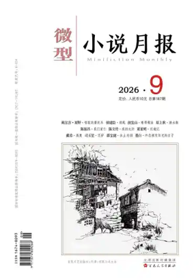 Cover of Minifiction monthly