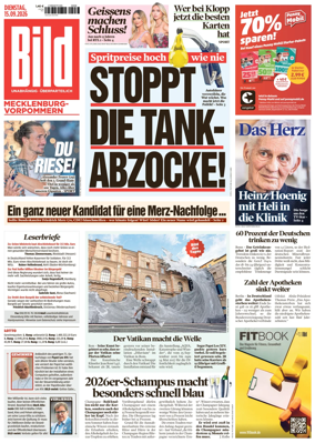 Cover of BILD Mecklenburg